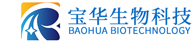 马博在线